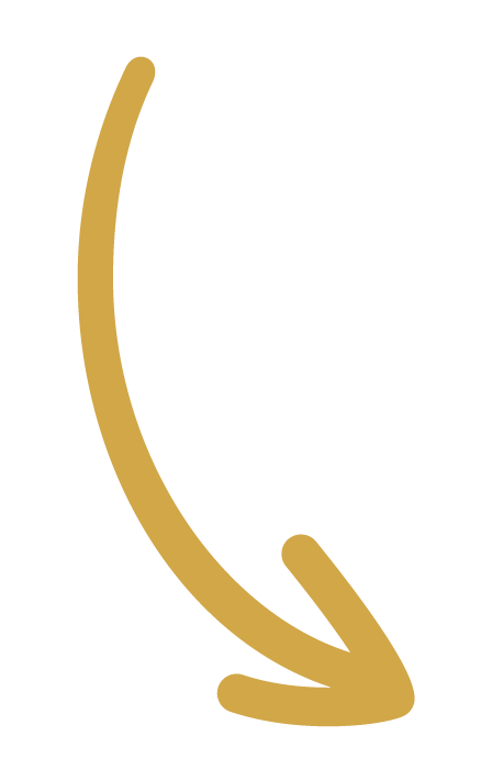 Flèche dorée Circonférence Annecy